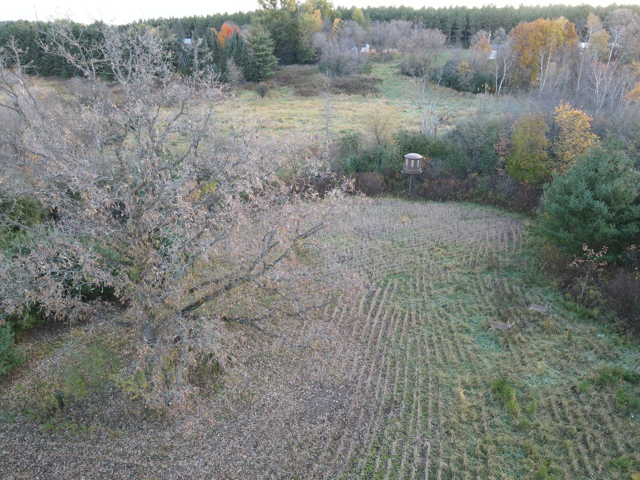 8 Almena Wi 54805 Almena, WI 54805 - Photo 36 of 45