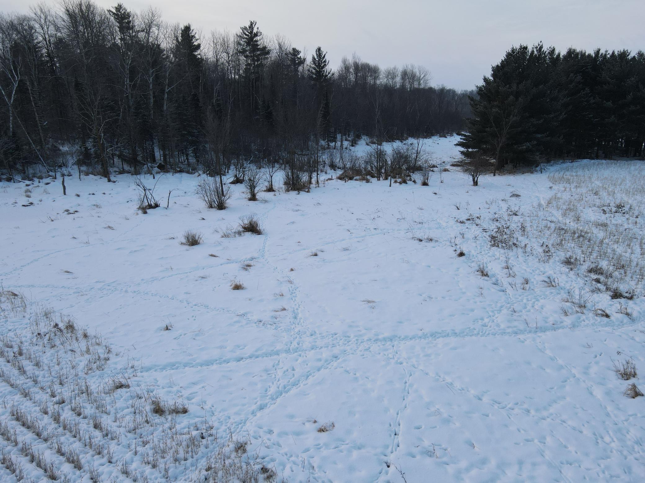 8 Almena Wi 54805 Almena, WI 54805 - Photo 41 of 45