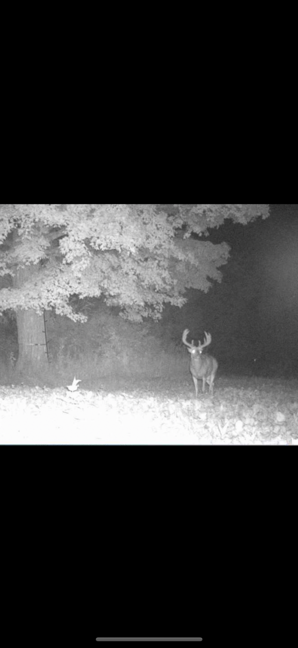 8 Almena Wi 54805 Almena, WI 54805 - Photo 42 of 45