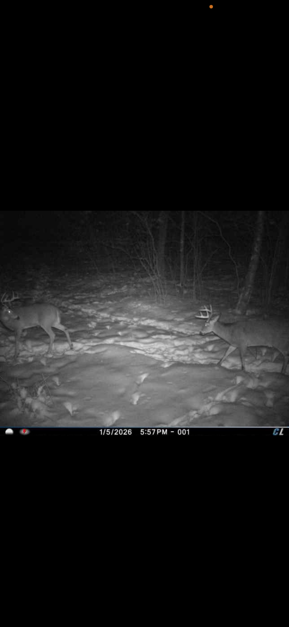 8 Almena Wi 54805 Almena, WI 54805 - Photo 43 of 45