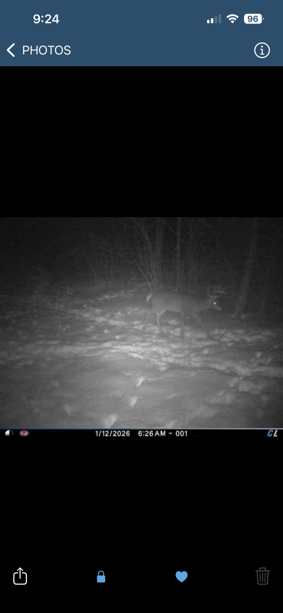 8 Almena Wi 54805 Almena, WI 54805 - Photo 44 of 45