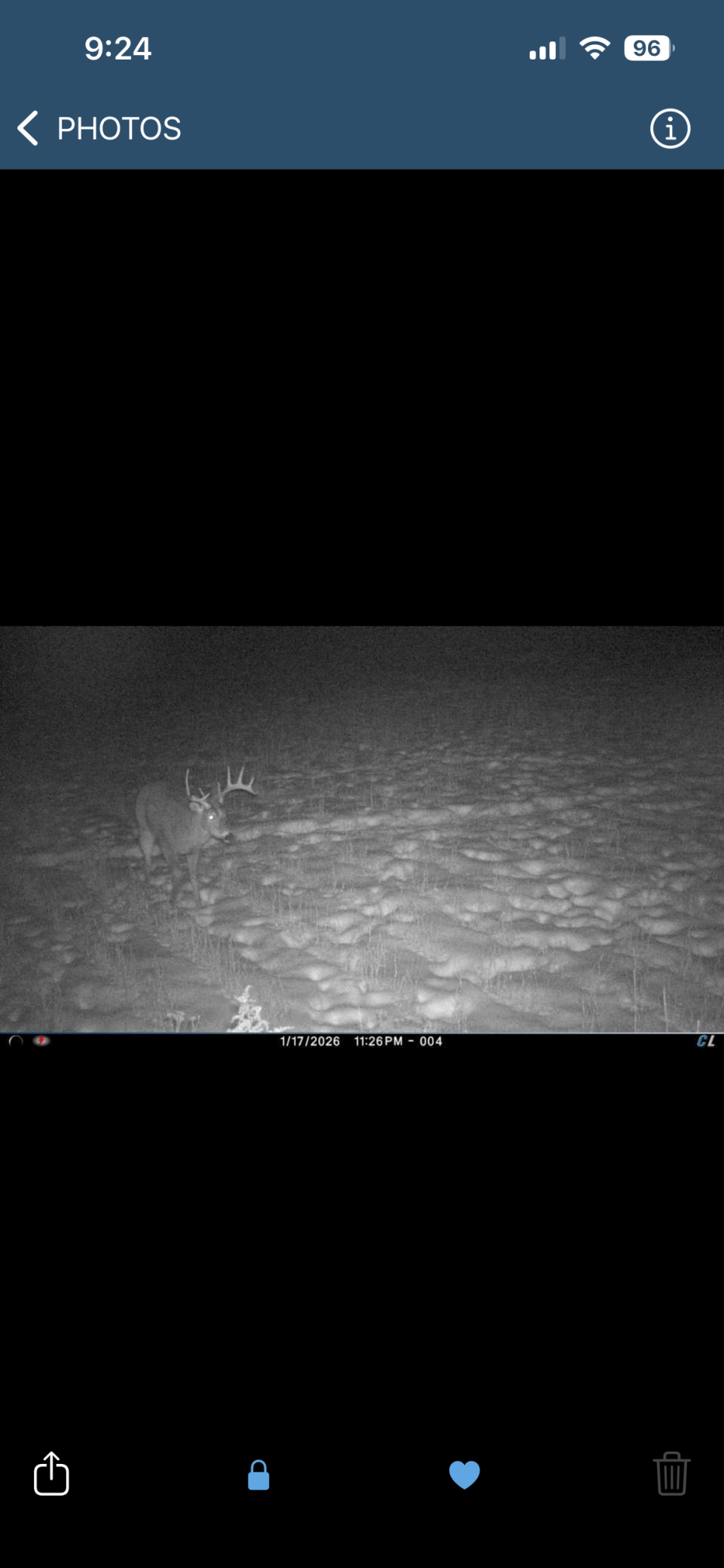 8 Almena Wi 54805 Almena, WI 54805 - Photo 45 of 45