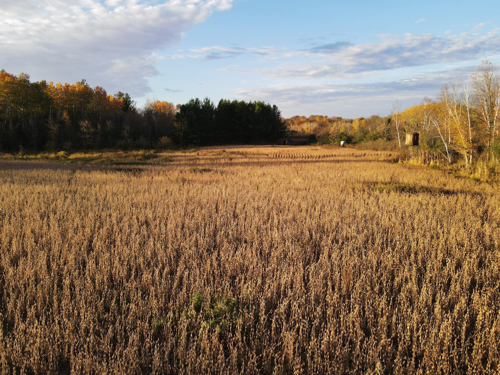 8 Almena Wi 54805 Almena, WI 54805 - Photo 8 of 45