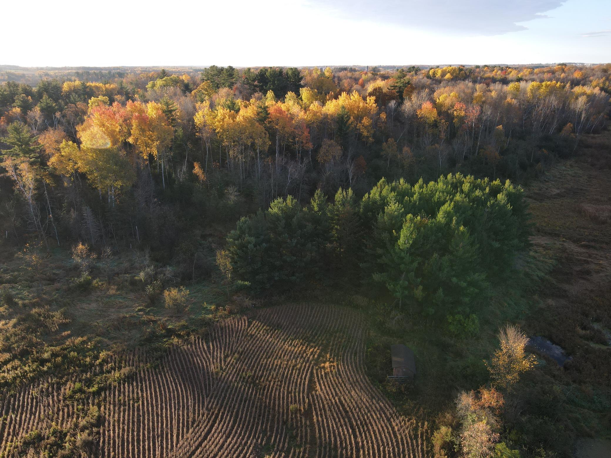 8 Almena Wi 54805 Almena, WI 54805 - Photo 9 of 45