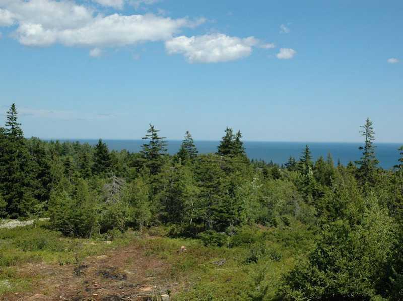 18 Upland Road Seal Harbor, ME 04675 - Photo 20 of 21 View.