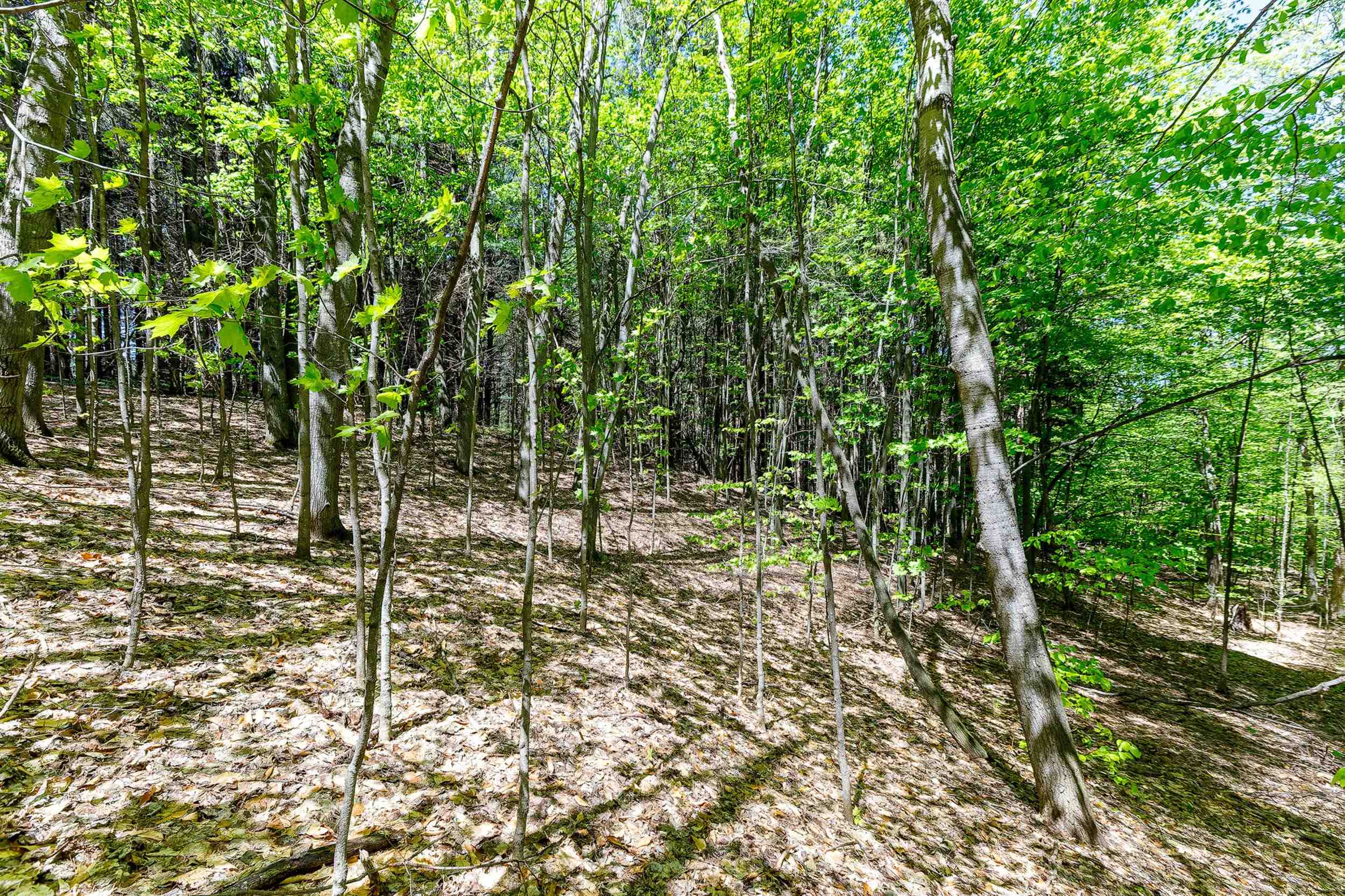 3219 Nugent Road Frankfort, MI 49635 - Photo 12 of 15