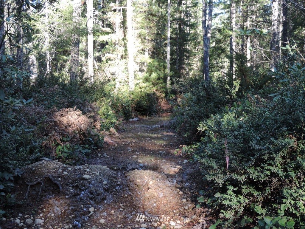 1111 Northeast Tahuya Blacksmith Road Tahuya, WA 98588 - Photo 1 of 7 Gallery Image 1