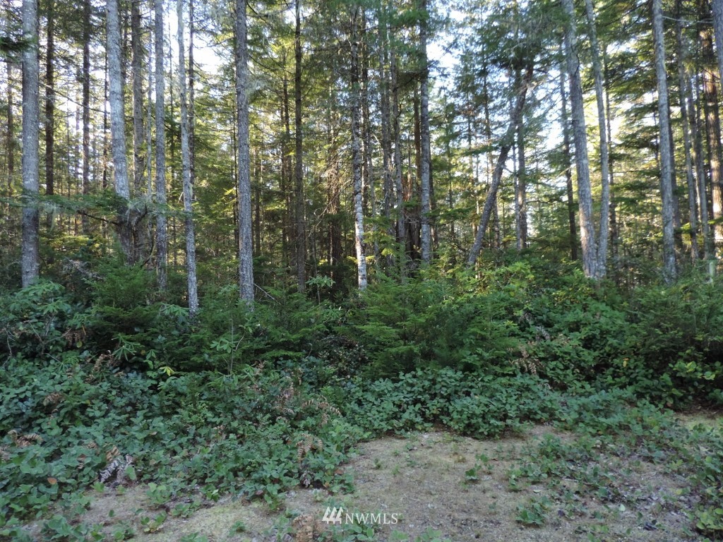 1111 Northeast Tahuya Blacksmith Road Tahuya, WA 98588 - Photo 2 of 7 Gallery Image 2