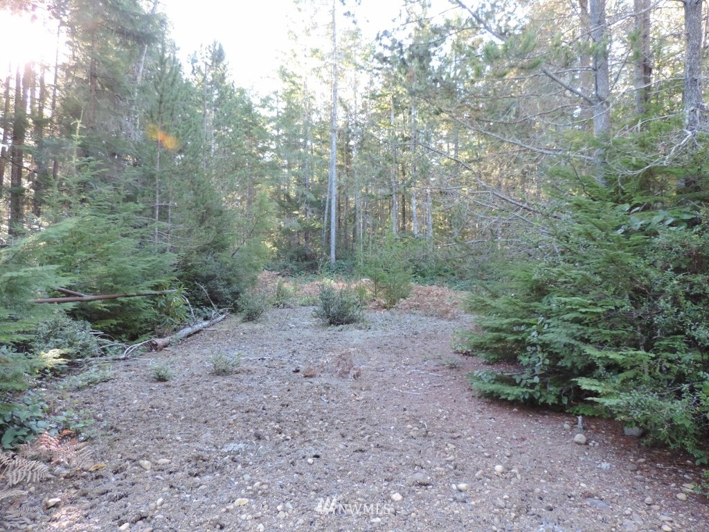 1111 Northeast Tahuya Blacksmith Road Tahuya, WA 98588 - Photo 3 of 7 Gallery Image 3