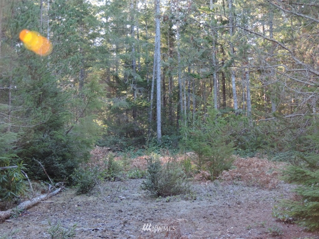 1111 Northeast Tahuya Blacksmith Road Tahuya, WA 98588 - Photo 5 of 7 Gallery Image 5