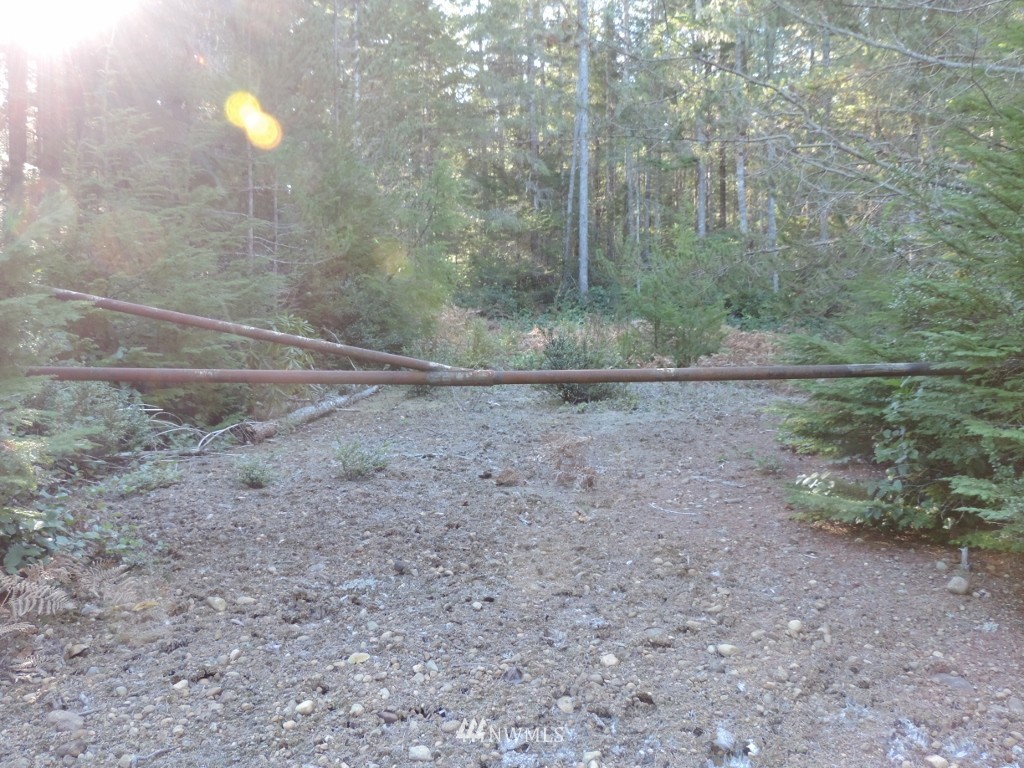 1111 Northeast Tahuya Blacksmith Road Tahuya, WA 98588 - Photo 7 of 7 Gallery Image 7