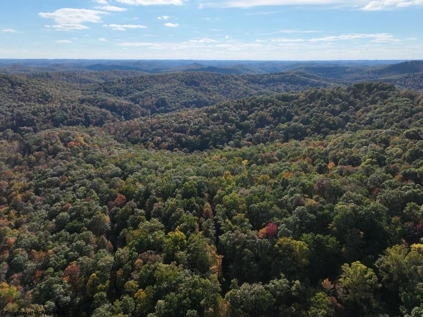 0 Spice Ridge Procious, WV 25164 - Photo 1 of 2 Gallery Image 1