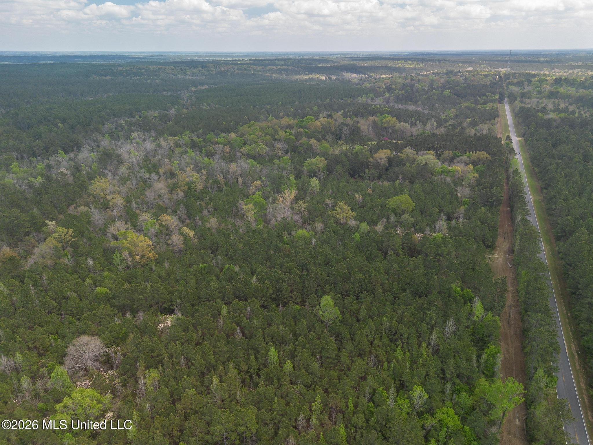 124 Turp Maples Road Perkinston, MS 39573 - Photo 20 of 26 DJI_0702
