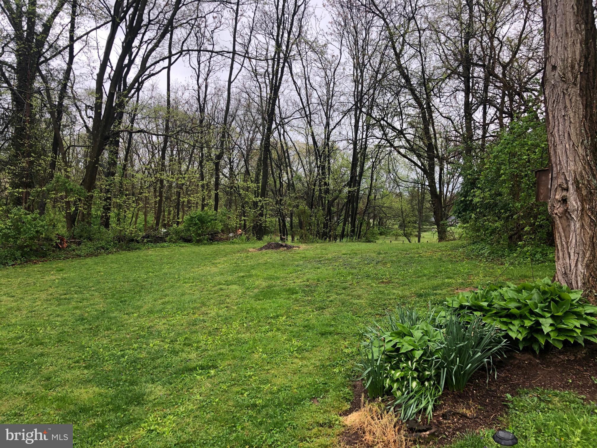 18003 College Road Hagerstown, MD 21740 - Photo 3 of 32 Back yard