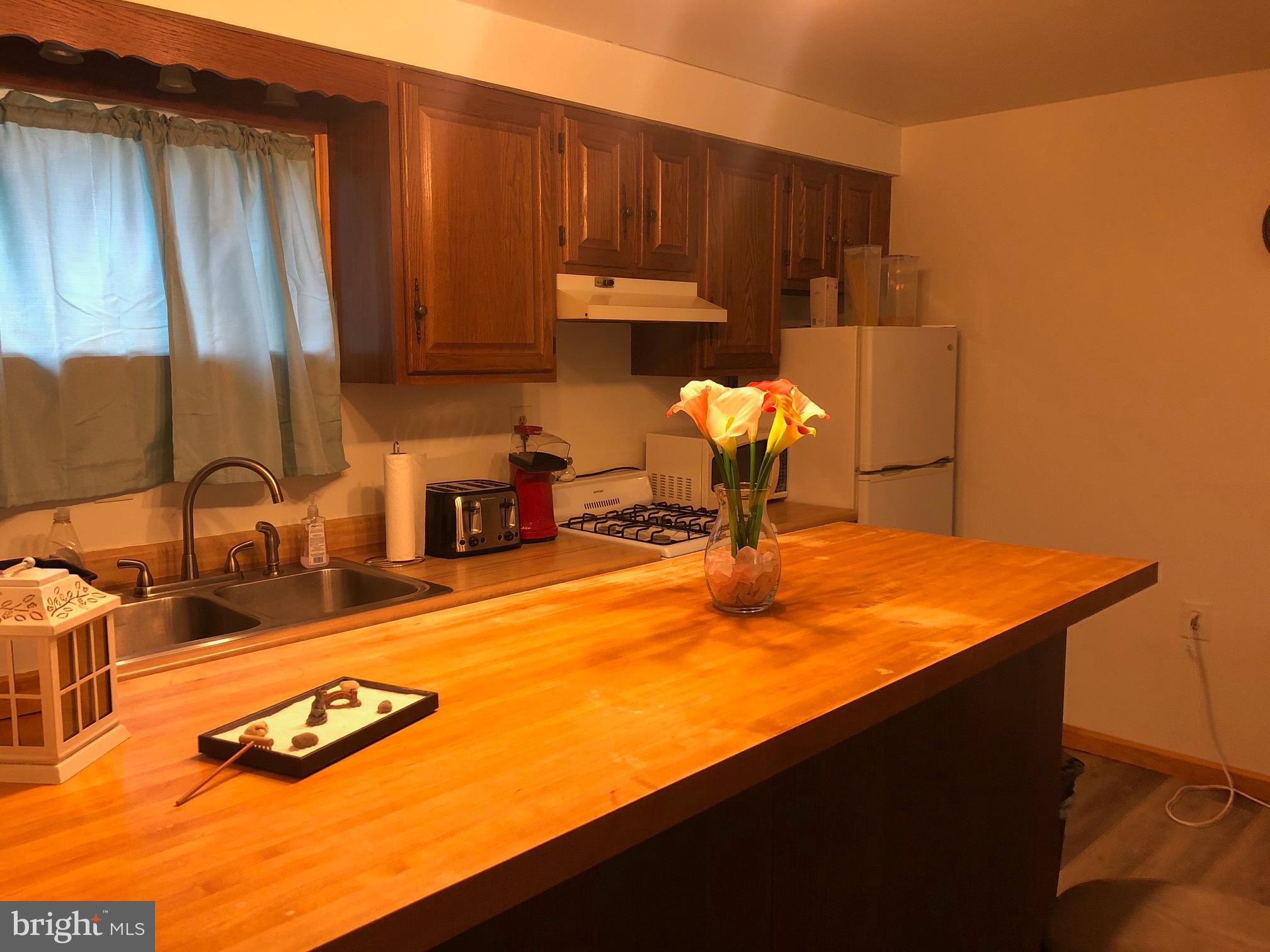 18003 College Road Hagerstown, MD 21740 - Photo 25 of 32 Second Kitchen on lower flor