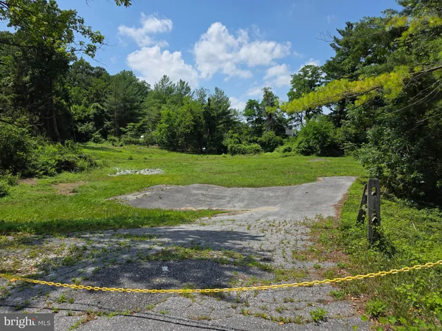 a view of a field of grass and trees