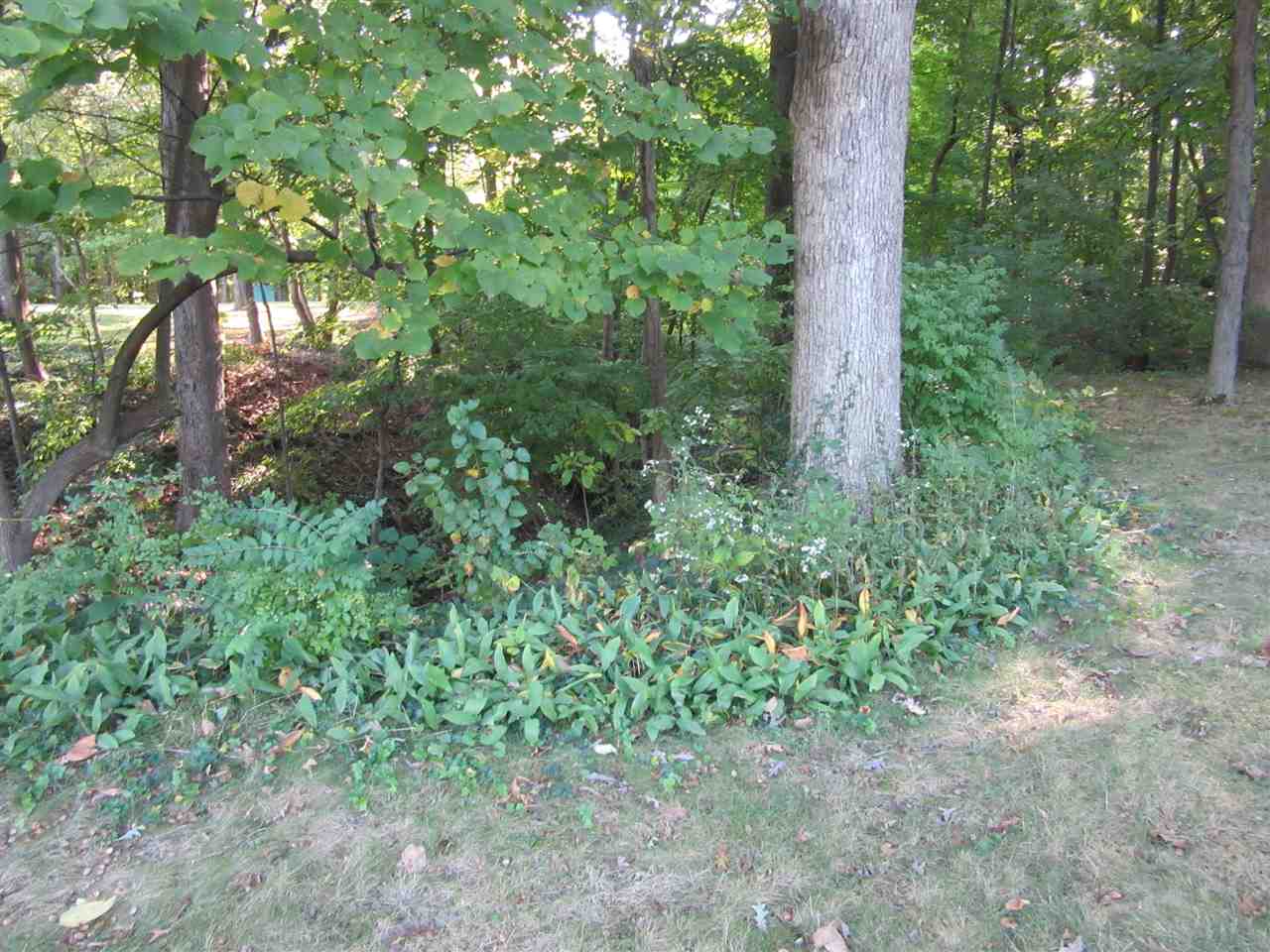 313 Sharon Road West Lafayette, IN 47906 - Photo 18 of 19