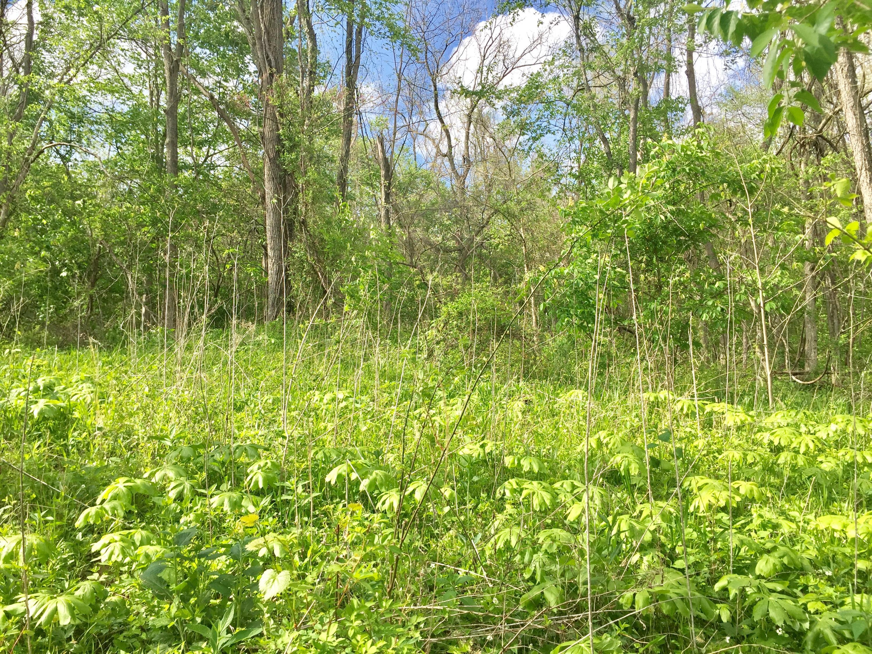 3159 Mingo Road Chillicothe, OH 45601 - Photo 29 of 30 Gallery Image 29