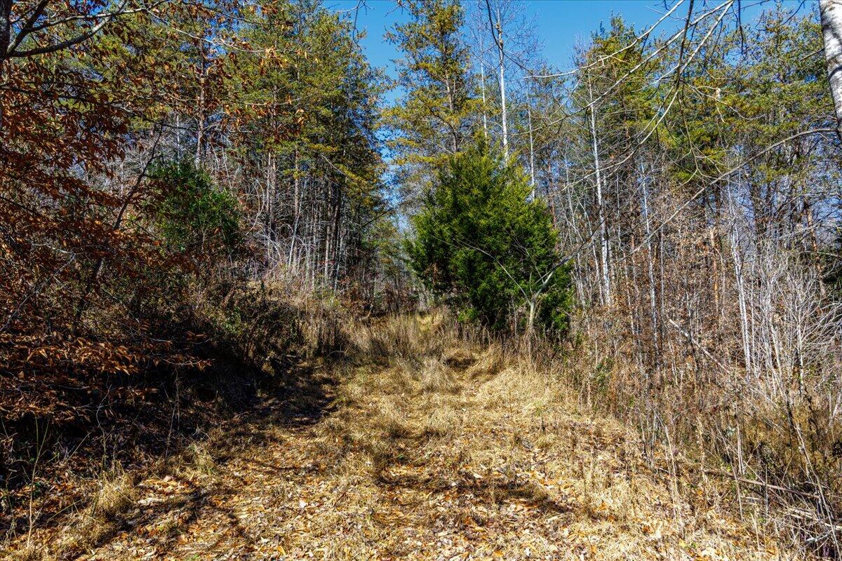 04-04-Dry Hill Rd-2585
