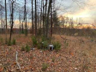 Tract A Dry Hill Road Ferrum, VA 24088 - Photo 11 of 34 a2