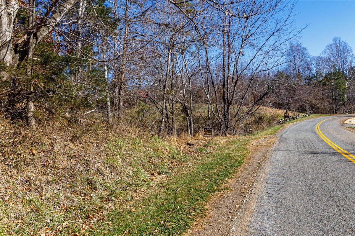 Tract A Dry Hill Road Ferrum, VA 24088 - Photo 12 of 34 02-02-Dry Hill Rd-2584