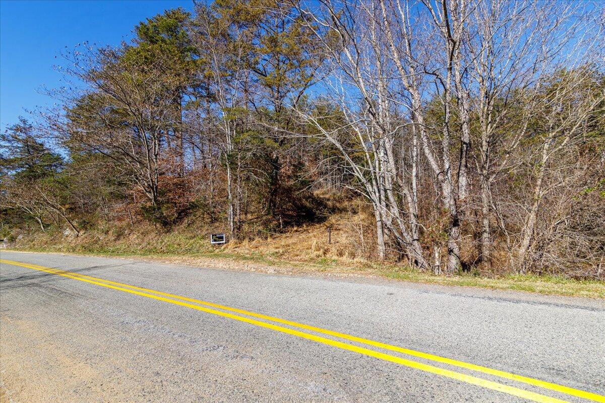 Tract A Dry Hill Road Ferrum, VA 24088 - Photo 13 of 34 03-03-Dry Hill Rd-2587