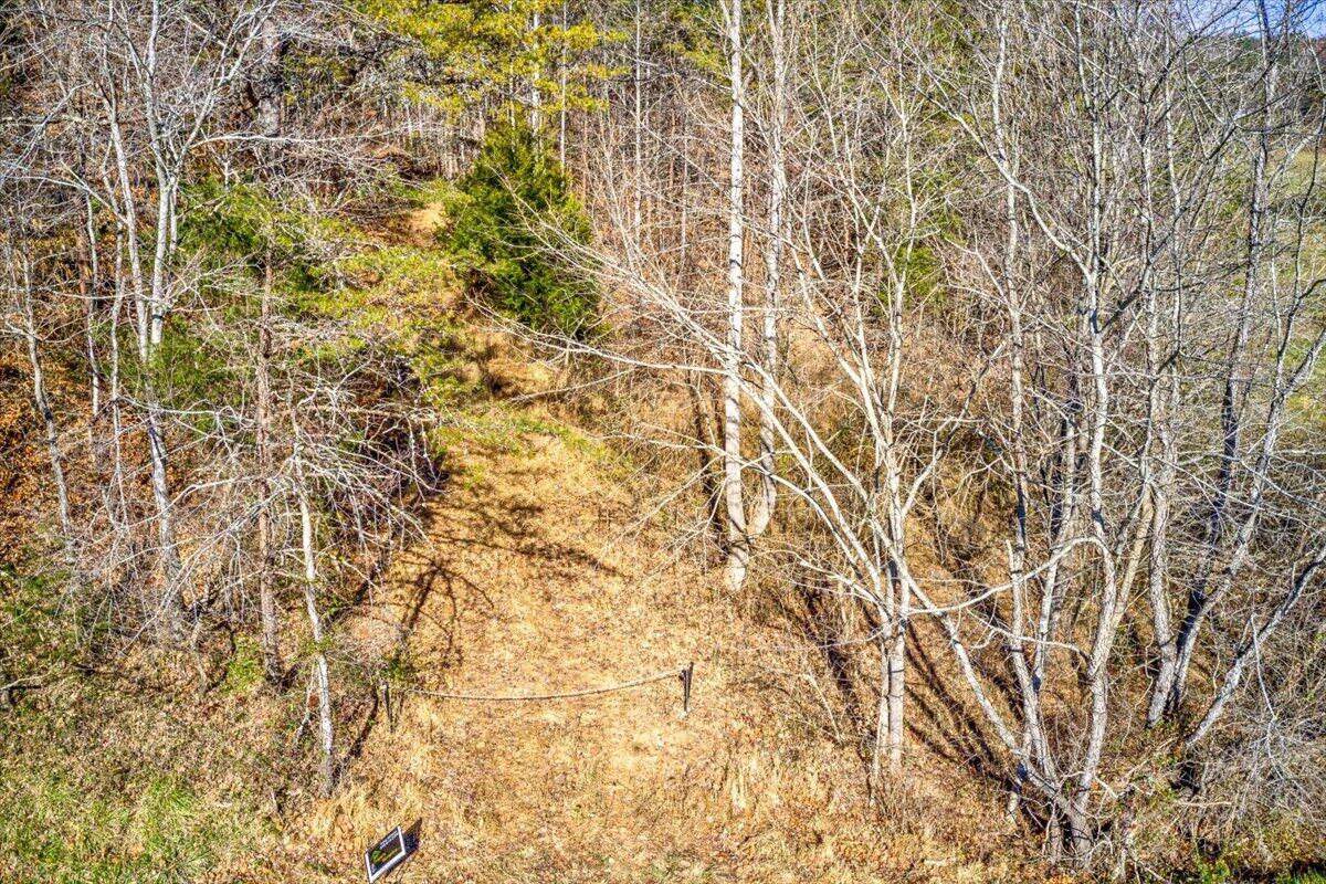 Tract A Dry Hill Road Ferrum, VA 24088 - Photo 14 of 34 05-05-Dry Hill Rd-6