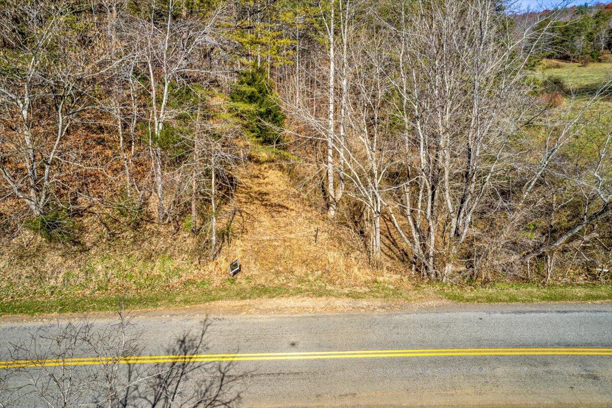 Tract A Dry Hill Road Ferrum, VA 24088 - Photo 15 of 34 06-06-Dry Hill Rd-701