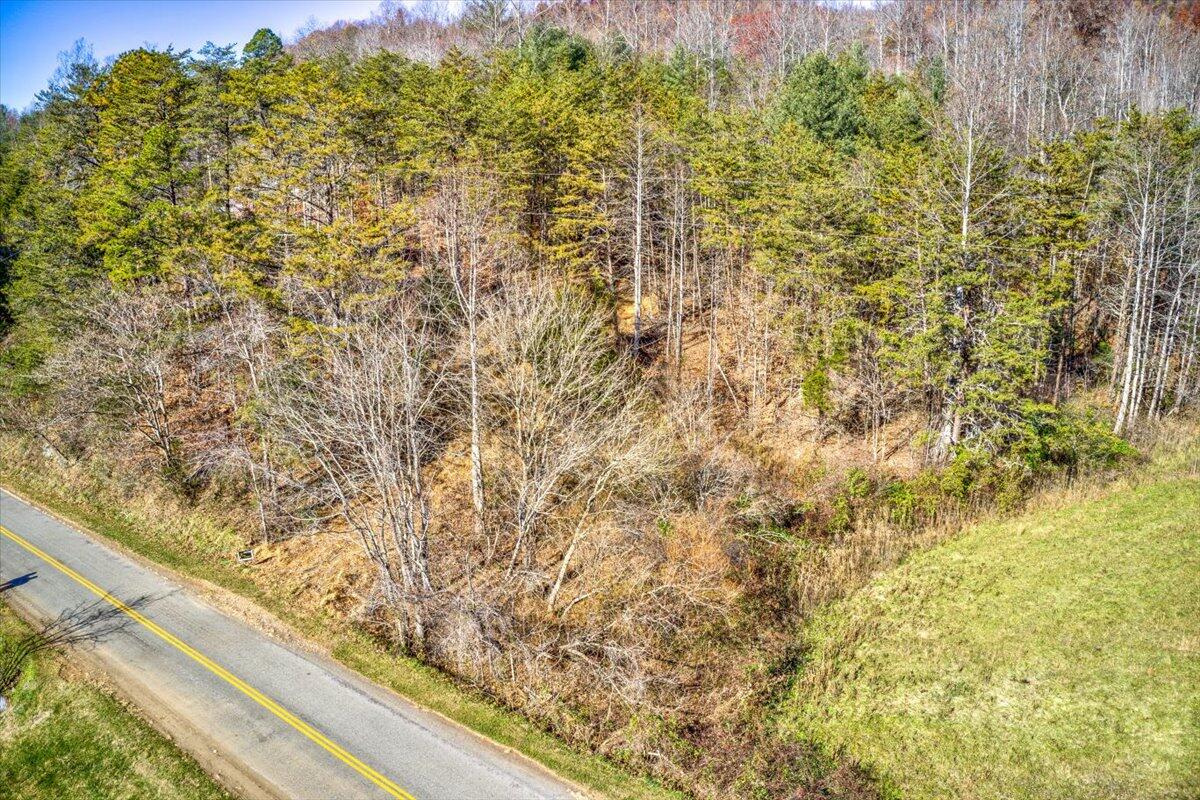 Tract A Dry Hill Road Ferrum, VA 24088 - Photo 16 of 34 07-07-Dry Hill Rd-6-2