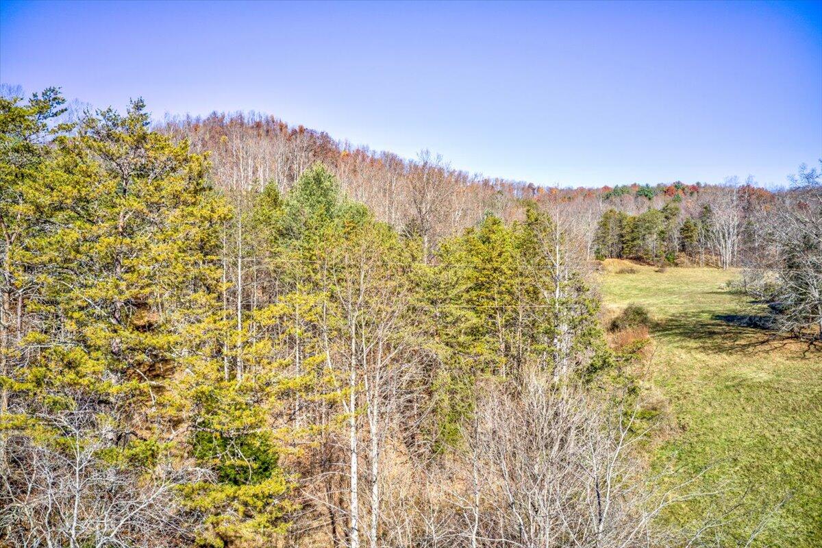 Tract A Dry Hill Road Ferrum, VA 24088 - Photo 17 of 34 08-08-Dry Hill Rd-11