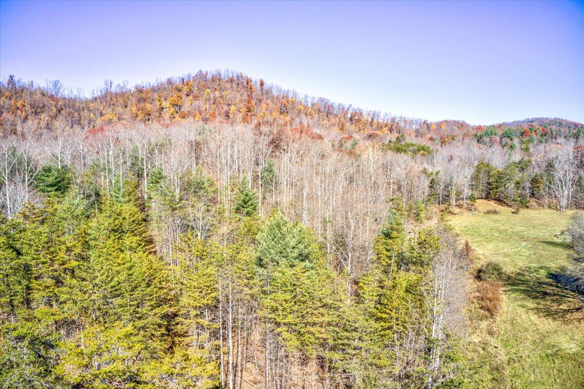 Tract A Dry Hill Road Ferrum, VA 24088 - Photo 18 of 34 09-09-Dry Hill Rd-21