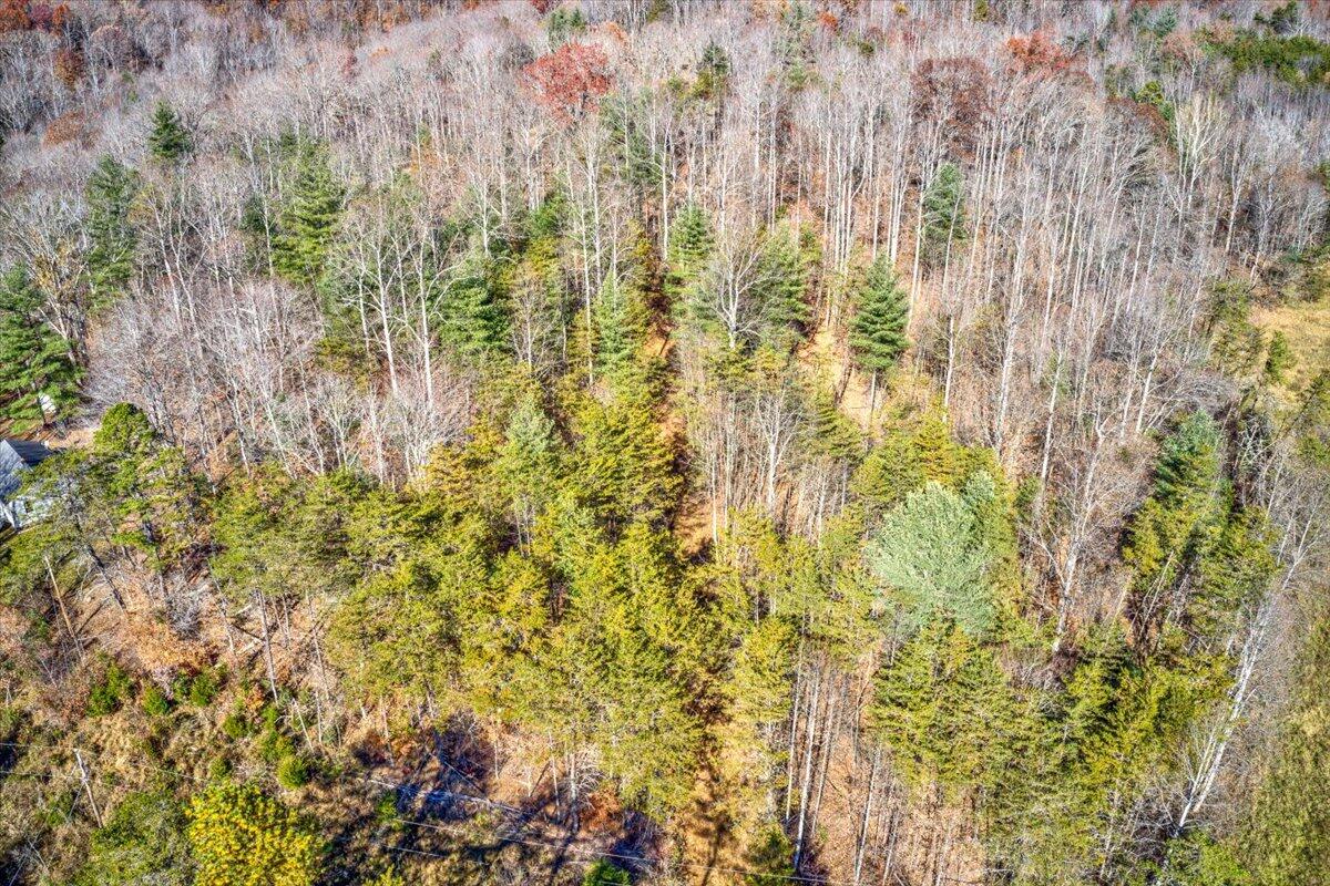 Tract A Dry Hill Road Ferrum, VA 24088 - Photo 19 of 34 10-10-Dry Hill Rd-6-4