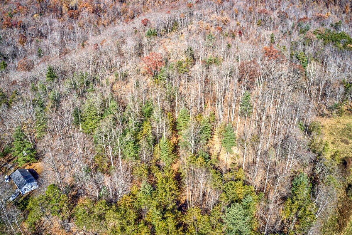 Tract A Dry Hill Road Ferrum, VA 24088 - Photo 20 of 34 11-11-Dry Hill Rd-31