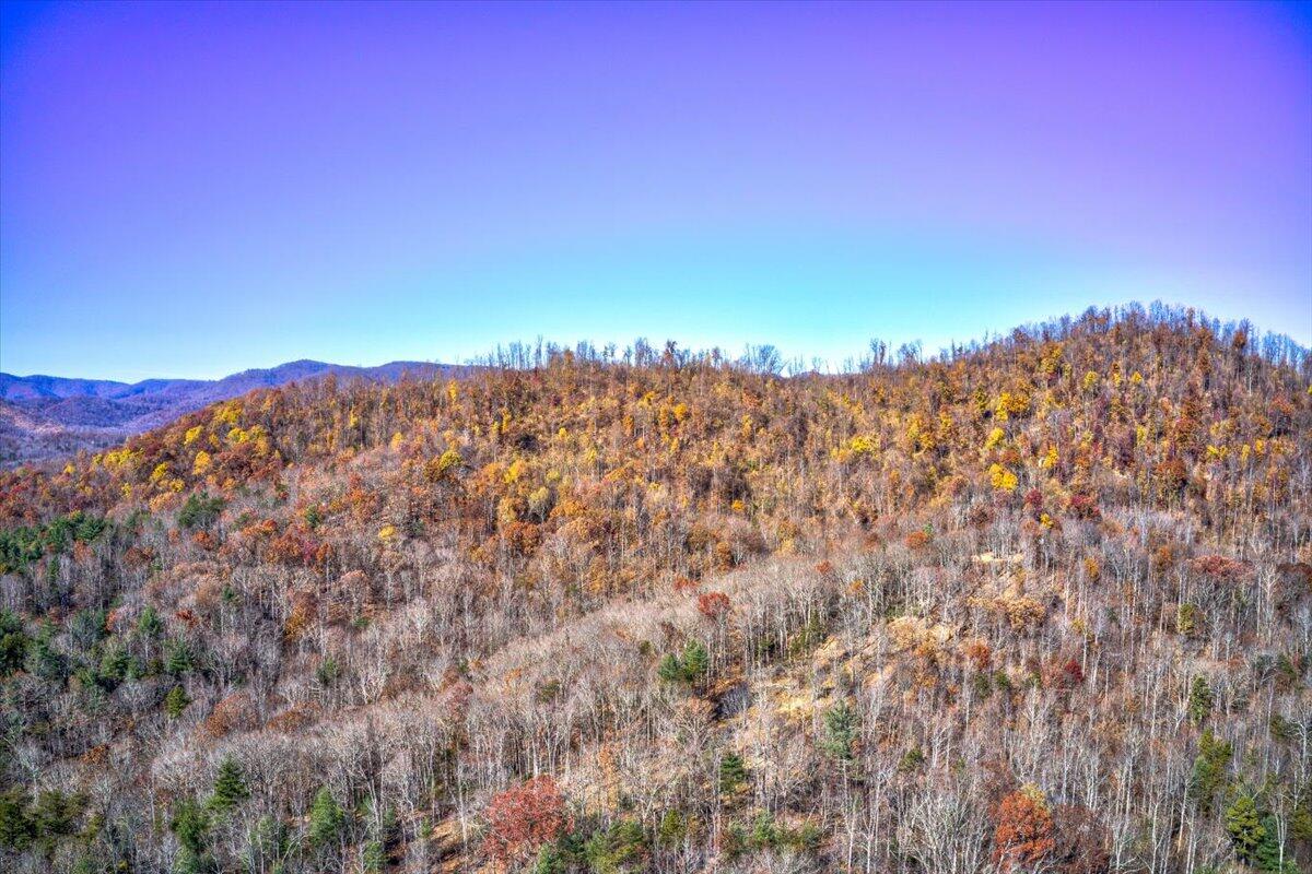 Tract A Dry Hill Road Ferrum, VA 24088 - Photo 22 of 34 13-13-Dry Hill Rd-41