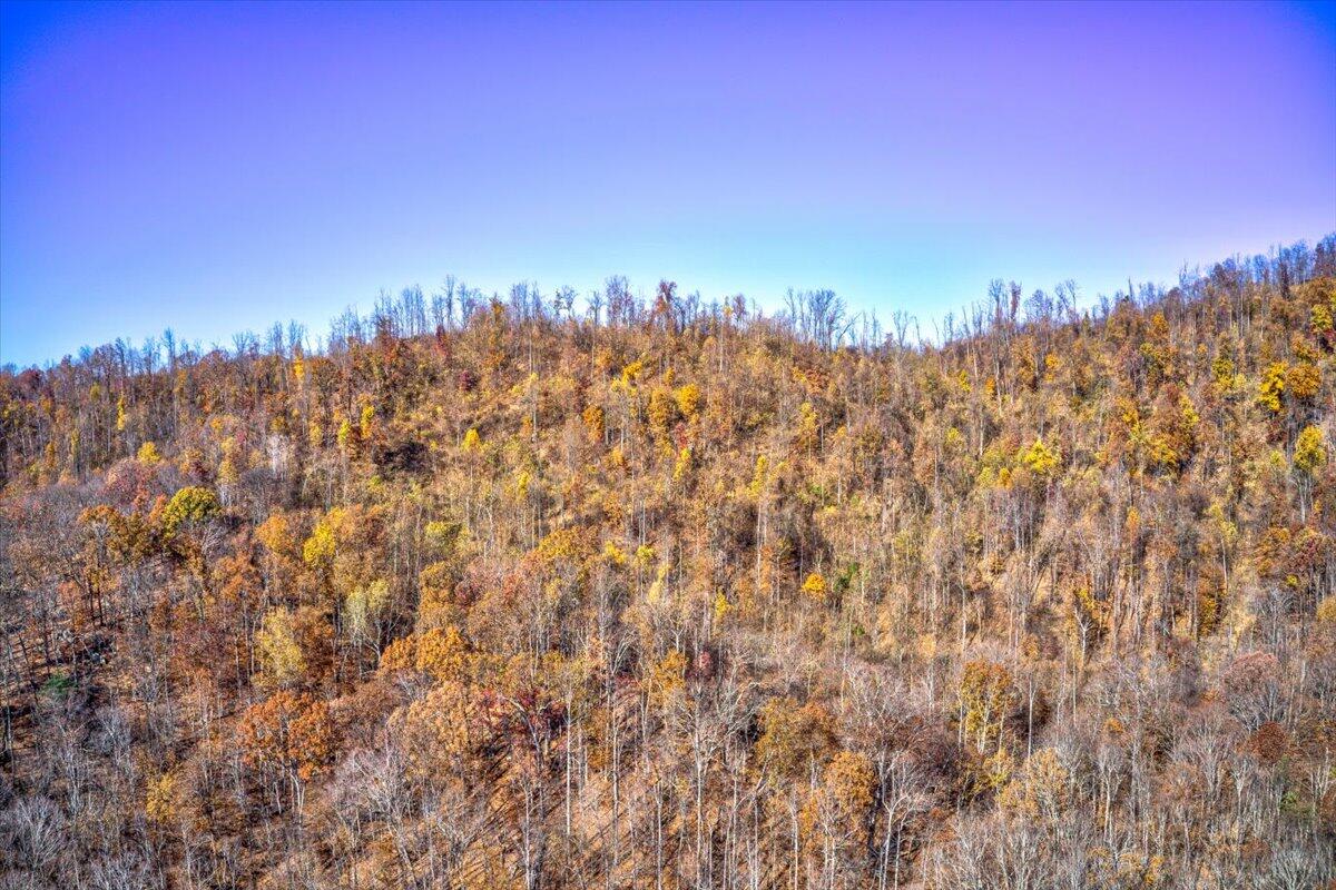 Tract A Dry Hill Road Ferrum, VA 24088 - Photo 23 of 34 14-14-Dry Hill Rd-6-6