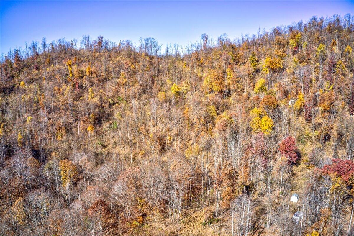 Tract A Dry Hill Road Ferrum, VA 24088 - Photo 24 of 34 15-15-Dry Hill Rd-51