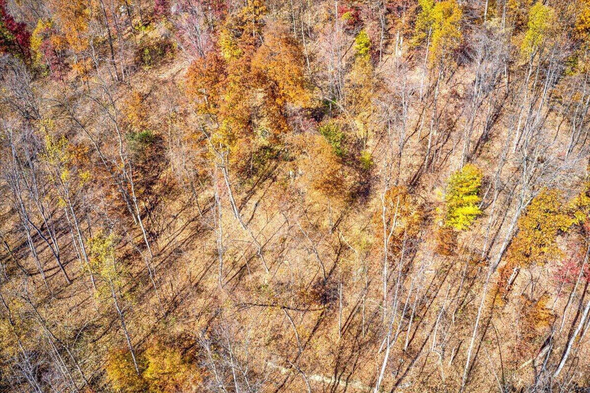 Tract A Dry Hill Road Ferrum, VA 24088 - Photo 26 of 34 17-17-Dry Hill Rd-61