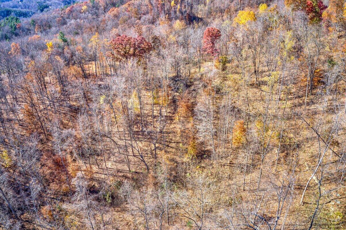 Tract A Dry Hill Road Ferrum, VA 24088 - Photo 27 of 34 18-18-Dry Hill Rd-6-8