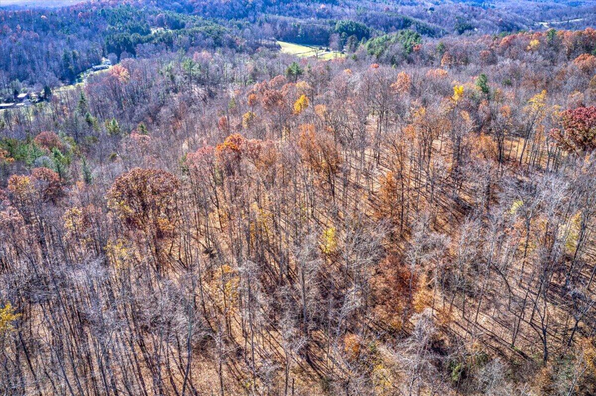 Tract A Dry Hill Road Ferrum, VA 24088 - Photo 28 of 34 20-20-Dry Hill Rd-6-9