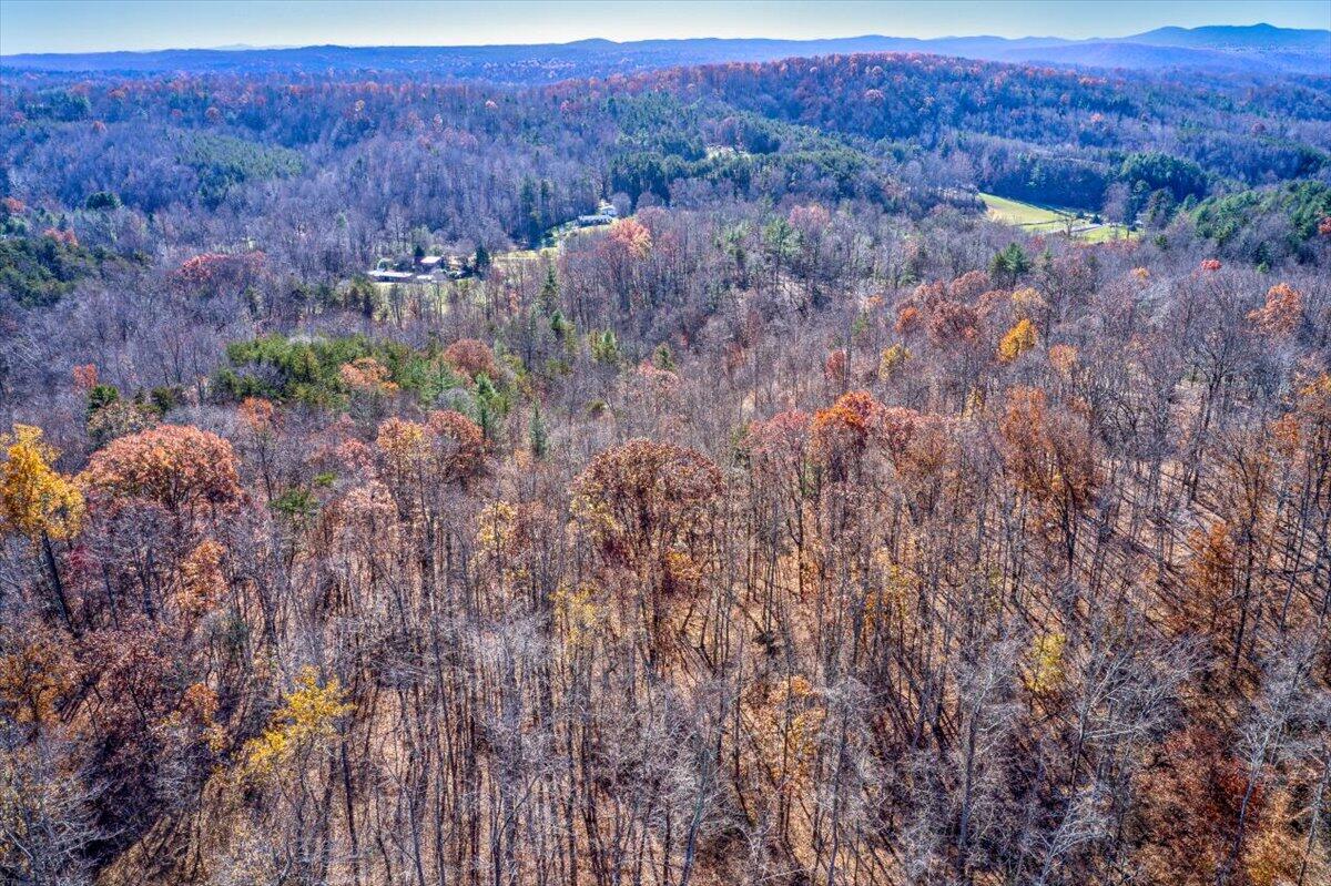 Tract A Dry Hill Road Ferrum, VA 24088 - Photo 29 of 34 21-21-Dry Hill Rd-81