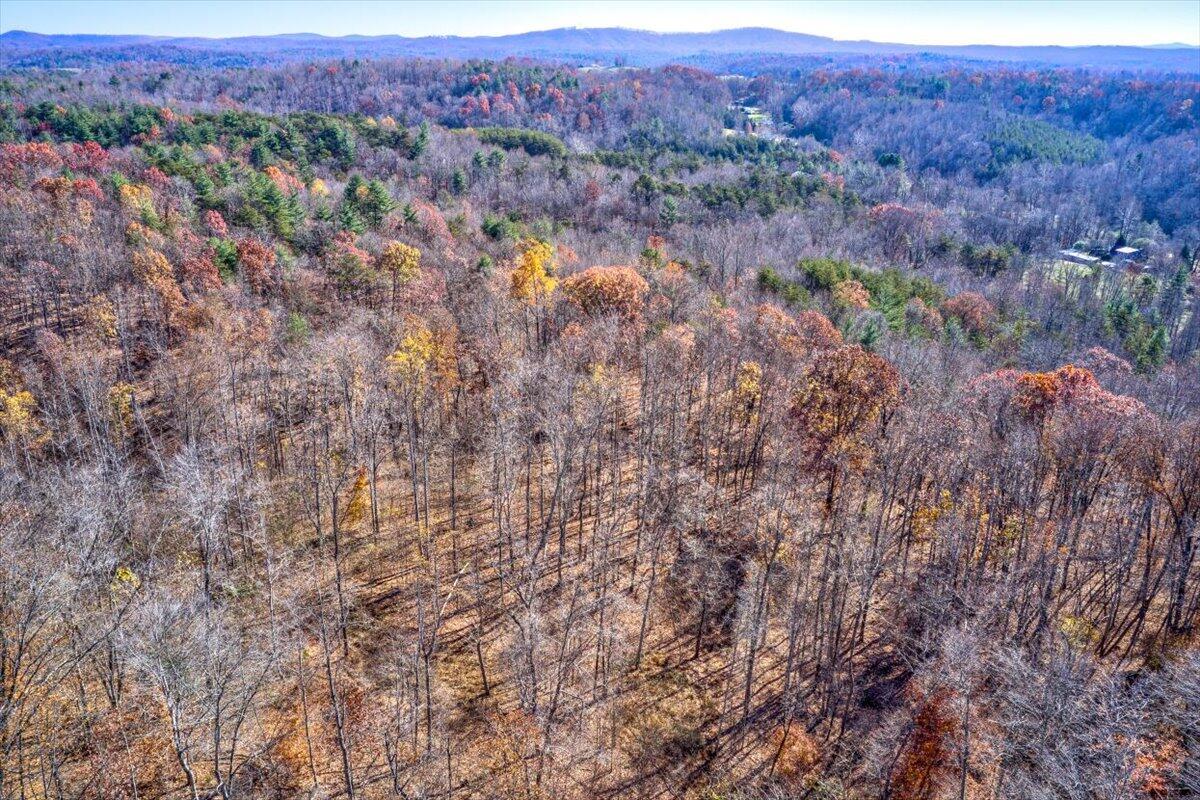 Tract A Dry Hill Road Ferrum, VA 24088 - Photo 30 of 34 22-22-Dry Hill Rd-6-10