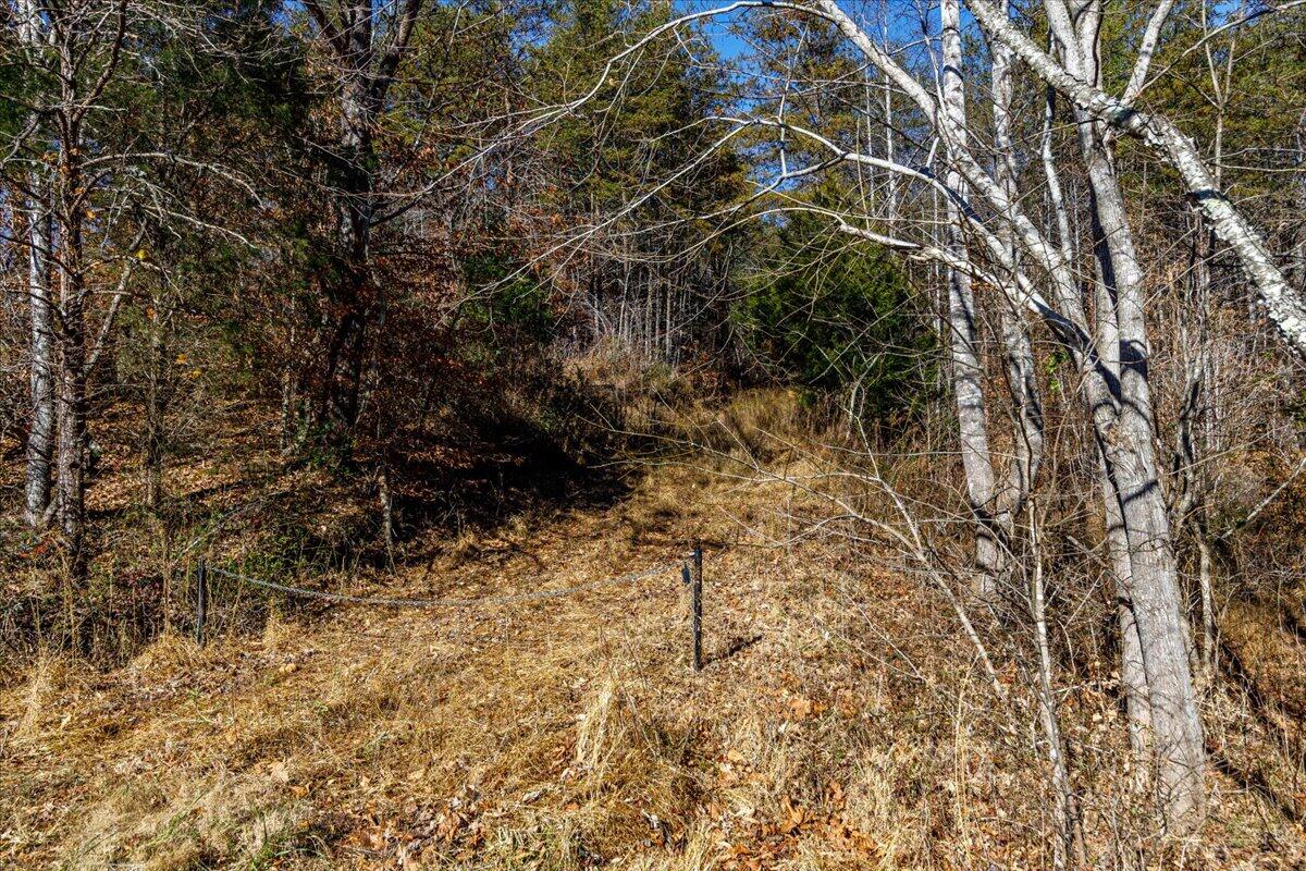 29-29-Dry Hill Rd-2582