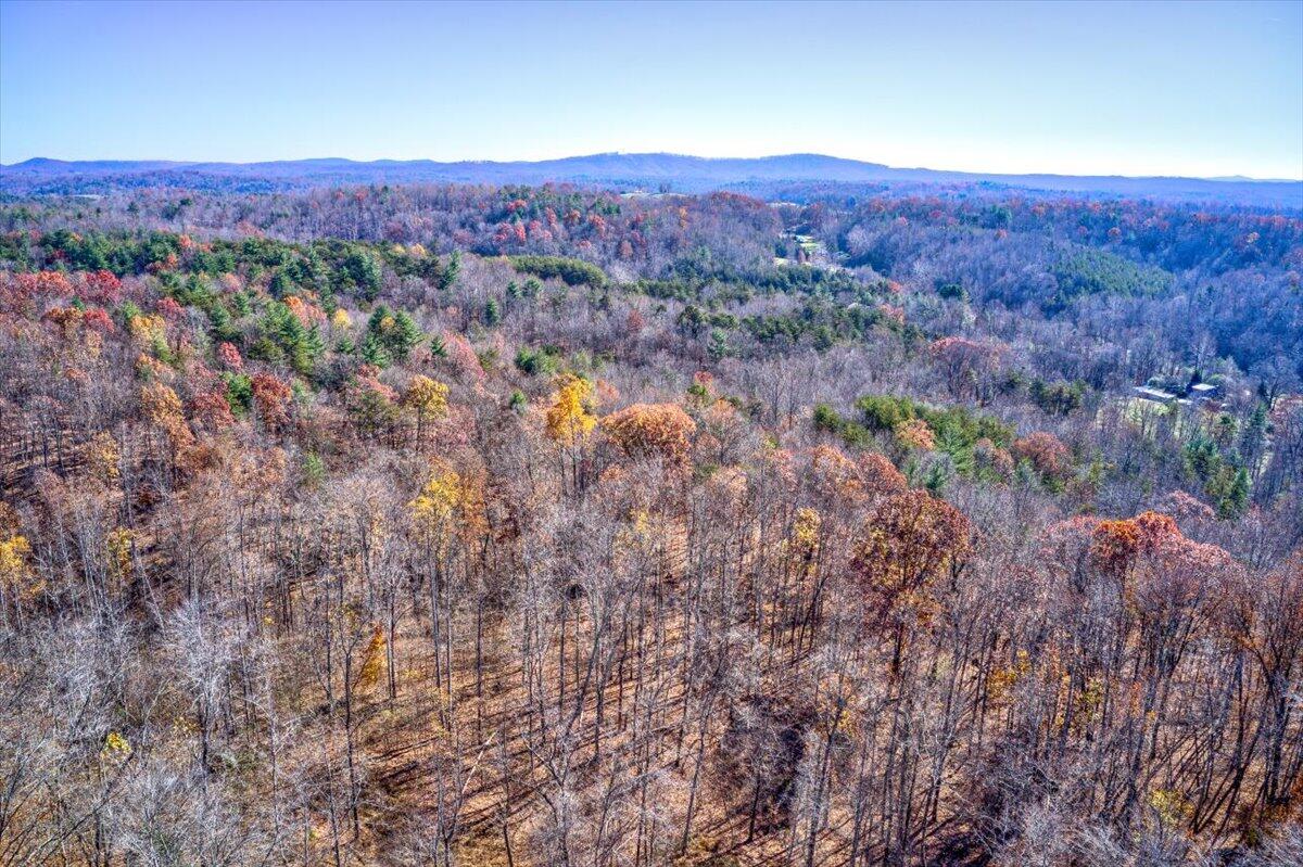 Tract A Dry Hill Road Ferrum, VA 24088 - Photo 31 of 34 23-23-Dry Hill Rd-91
