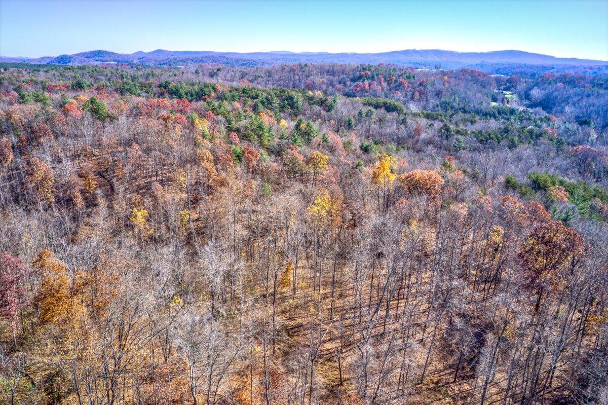 Tract A Dry Hill Road Ferrum, VA 24088 - Photo 33 of 34 25-25-Dry Hill Rd-801