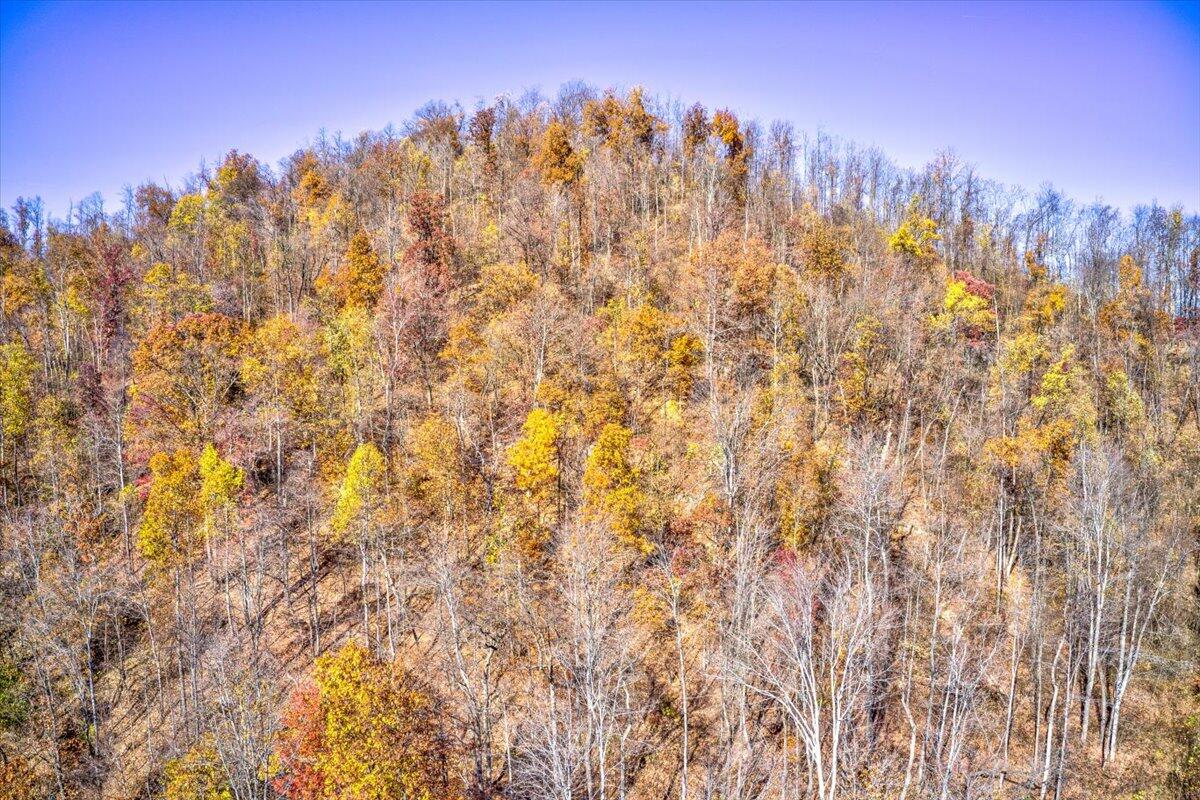 19-19-Dry Hill Rd-71