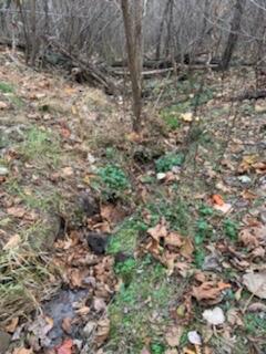 Tract A Dry Hill Road Ferrum, VA 24088 - Photo 10 of 34 a3