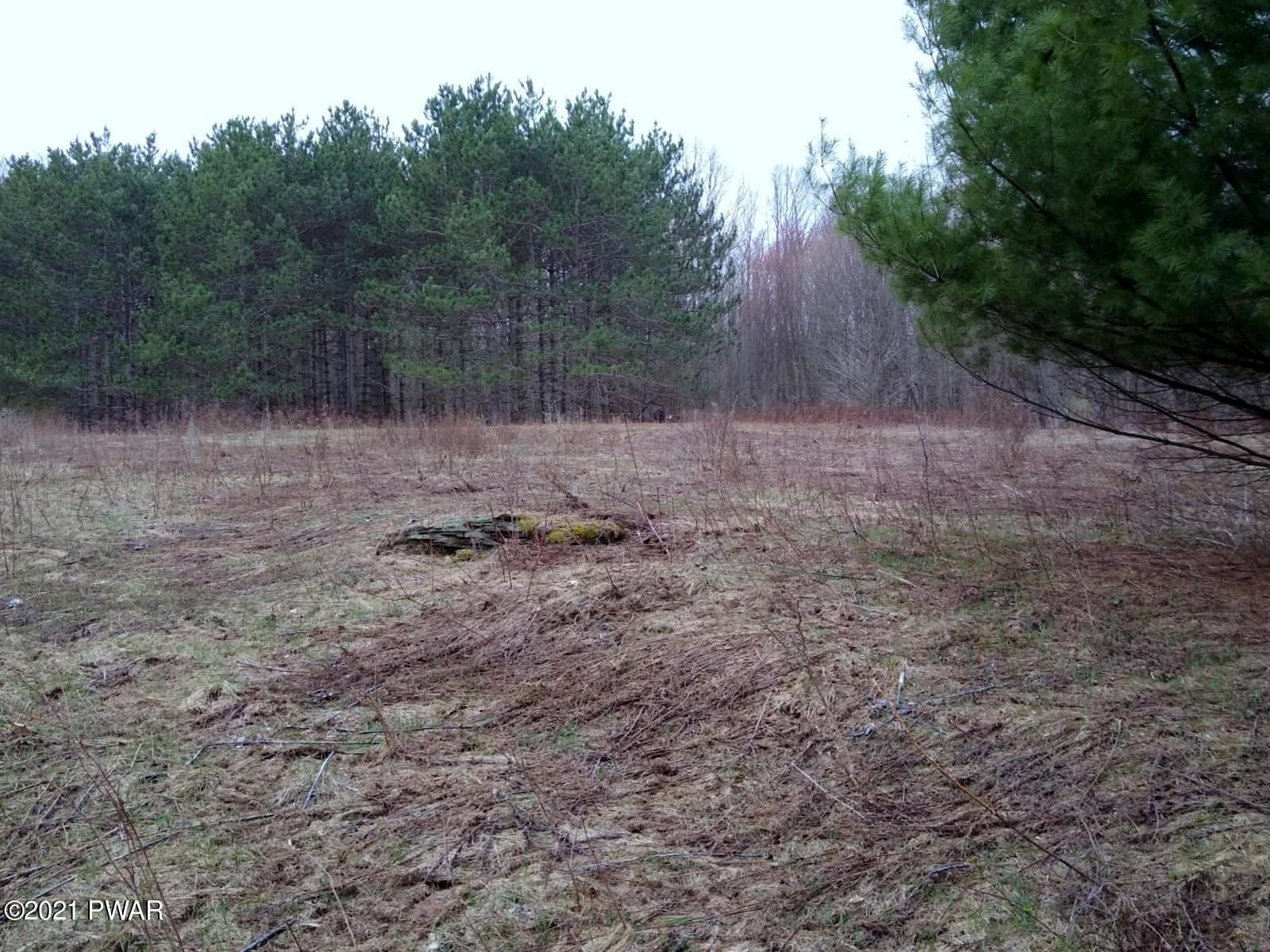 Scott Center Road Starrucca, PA 18462 - Photo 2 of 6