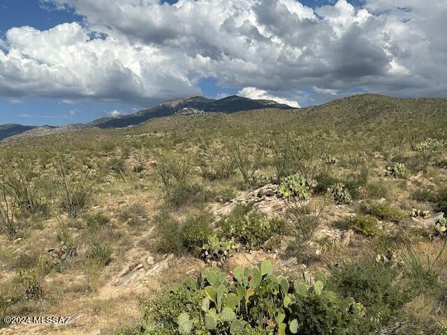 8167 South Pistol Hill Road Vail, AZ 85641 - Photo 9 of 36