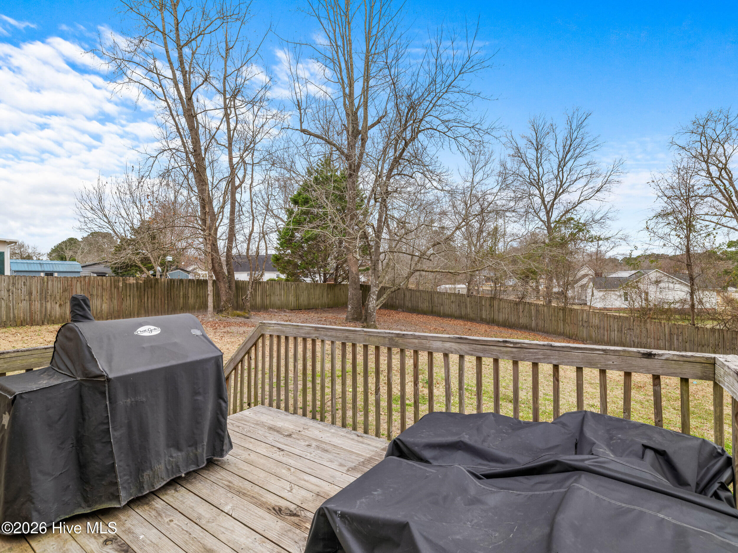 387 Bannermans Mill Road Richlands, NC 28574 - Photo 39 of 39 a02a0045