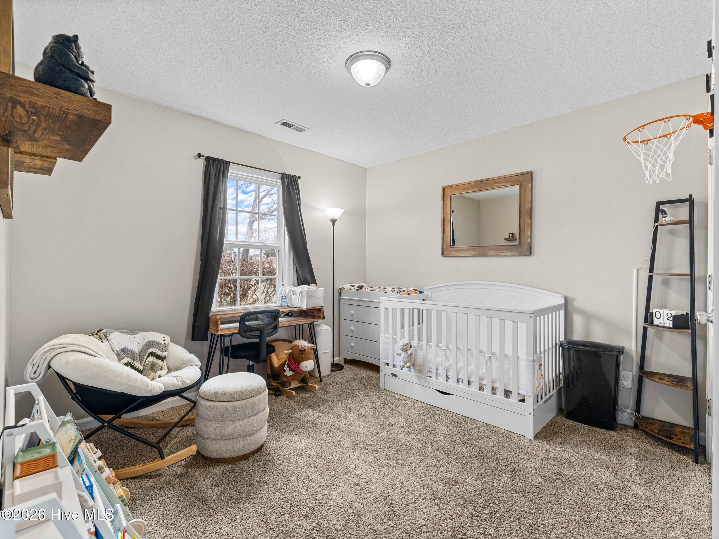 387 Bannermans Mill Road Richlands, NC 28574 - Photo 4 of 39 a02a0048